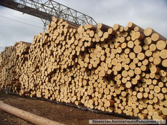 Круглый лес