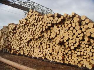 Вагонные поставки круглого леса