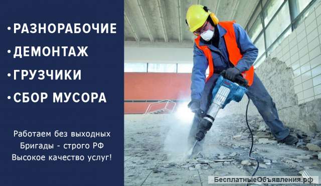 Разнорабочие граждане РФ