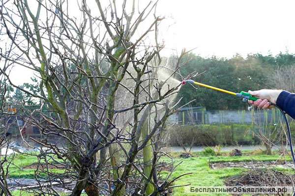 Хелат меди и цинка ( концентрат)