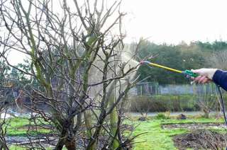 Хелат меди и цинка ( концентрат)