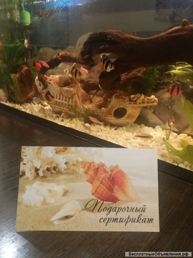 Спа программа