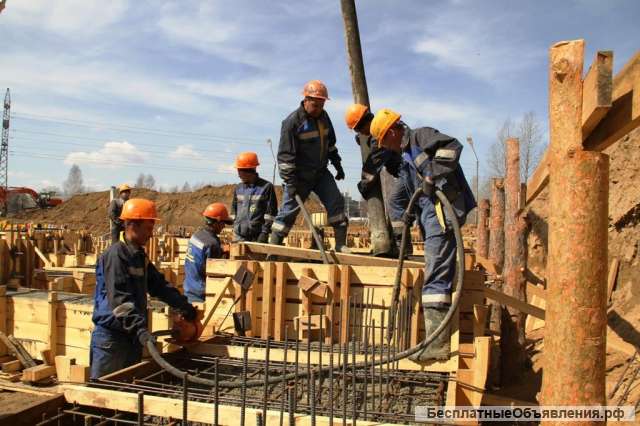 Выполним любые работы