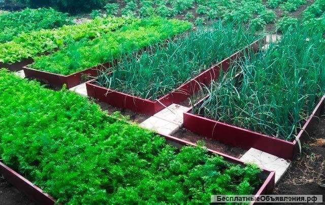 Садовые грядки от