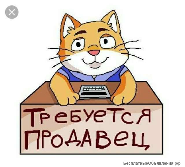Требуется продавец