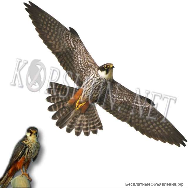 Визуальный отпугиватель птиц "Хищник-2"