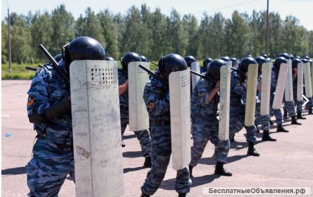 Трудоустройство