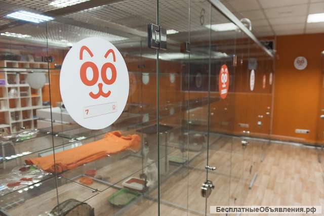 Открой зоотель для питомцев вместе с BookingCat