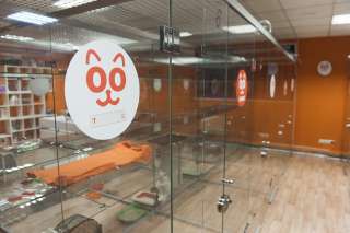 Открой зоотель для питомцев вместе с BookingCat