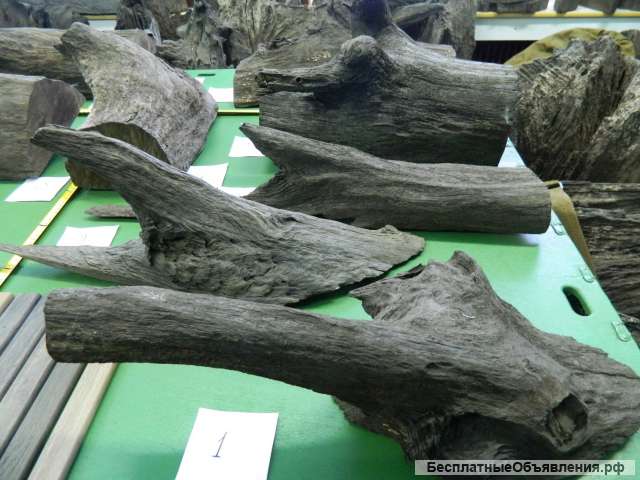 Отборные декоративные элементы и части стволов и корней Bog Oak