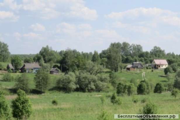 Землю в Вязьме 50 сот