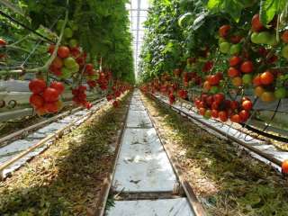 Работа в Польше без опыта