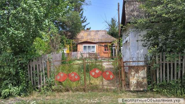 Будинок 50м., с. Голодьки