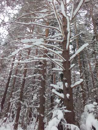 Земельный участок в черте города