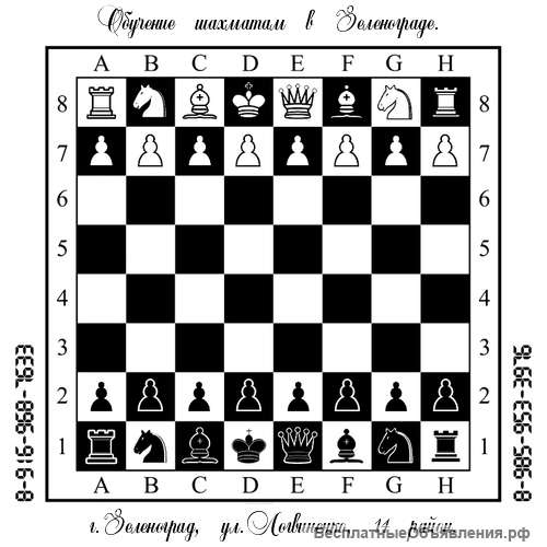 Обучение, уроки игры в шашки и шахматы. Зеленоград, область.