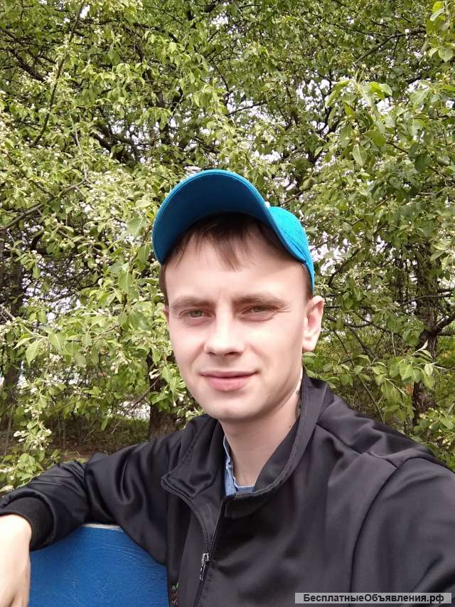 Интернет реклама в РСЯ