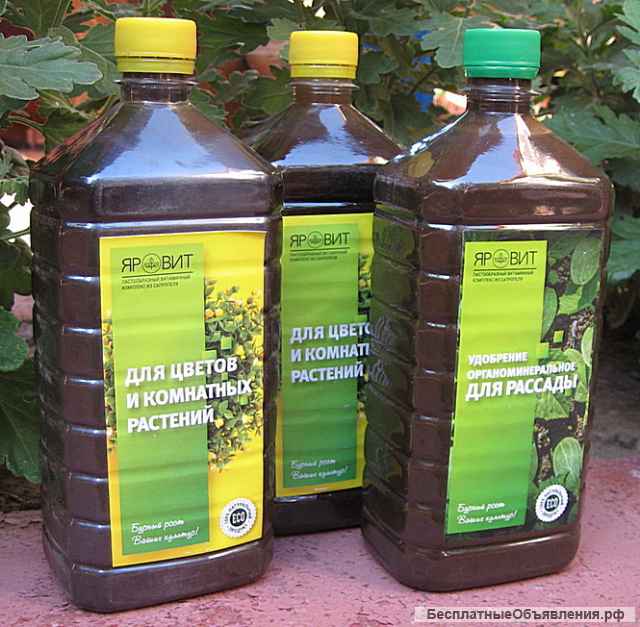 Комплекс малого бизнеса на сапропеле