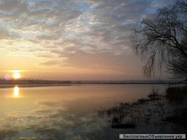 Озеро 46 га на участке 100 га в 7 км от Одессы