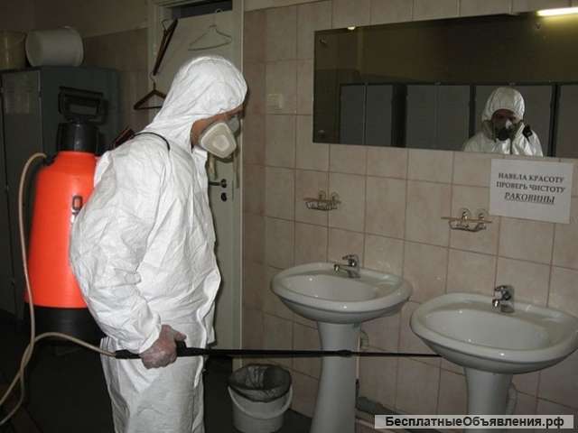 Потравить тараканов