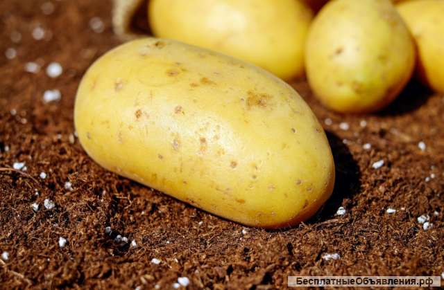 Картошку 10 р кг