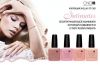 Ногти Shellac ресницы Алтуфьево свао