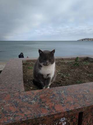 Ваш бухгалтер Метро Партизанская