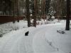 Работник