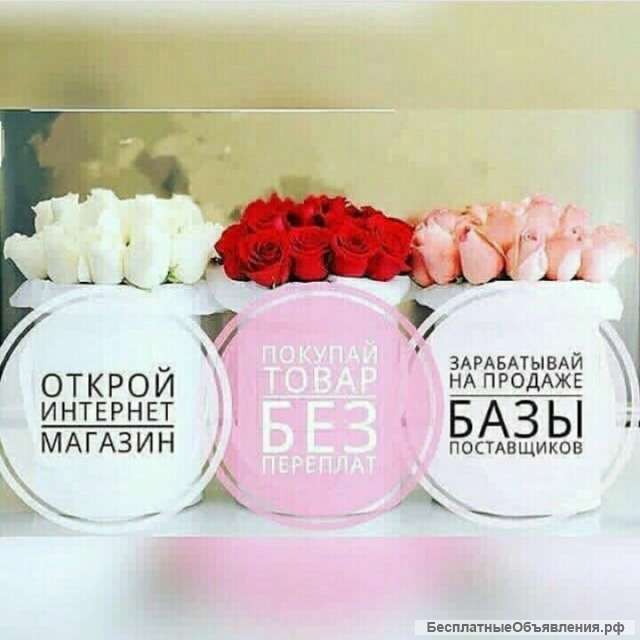 Базы поставщиков