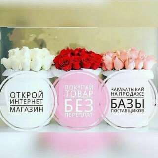 Базы поставщиков