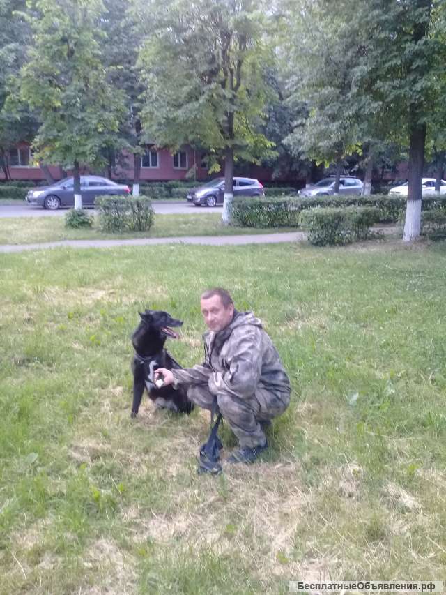 Водитель со своим автомобилем
