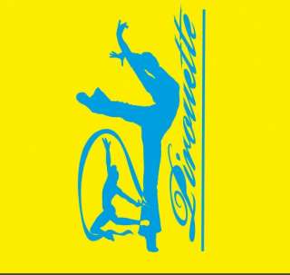 Продавец-консультант