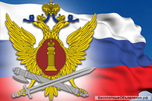 Младший инспектор отдела охраны