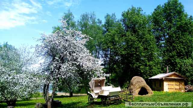 «Путешествие из Смоленска в Талашкино» загородная экскурсия