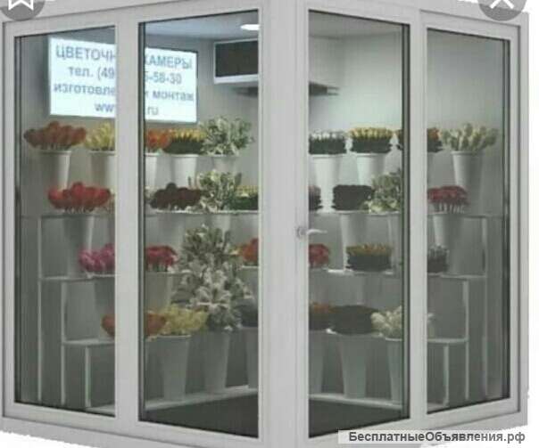 Холодильная камера-витрина для хранения цветов