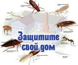 Обробка ділянок від кліщів та комарів Акарицидна обробка територій
