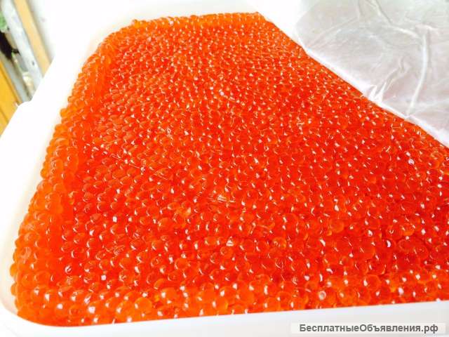 Икра Кеты оптом