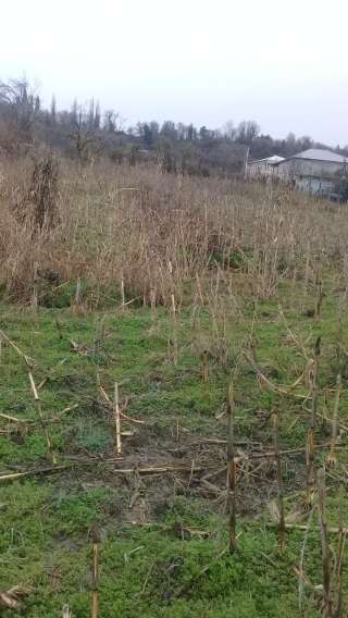 Участка под жилую и коммерческую недвижимость