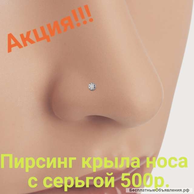 Пирсинг крыла носа