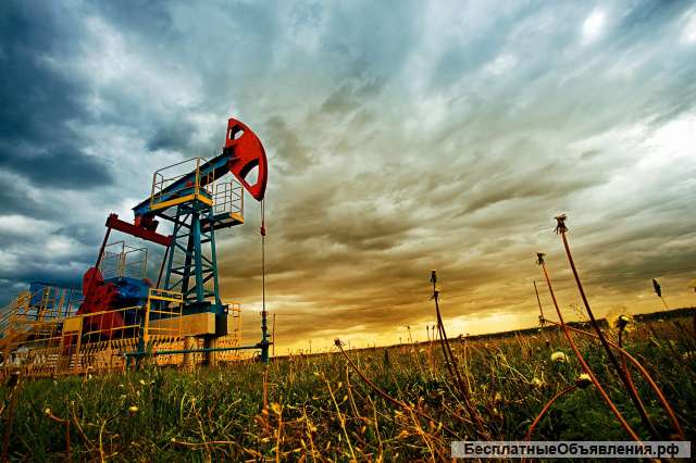 Обучение Разработка и эксплуатация нефтяных и газовых месторождений