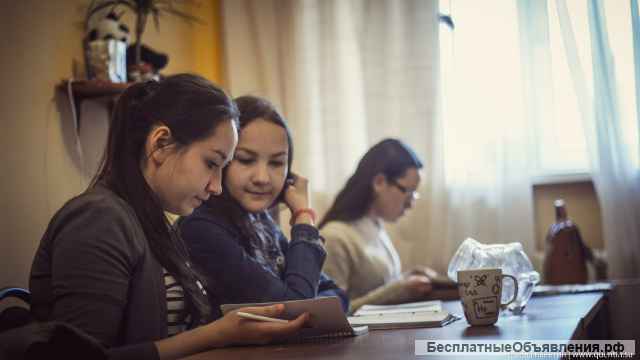 Франшизу по подготовке к ЕГЭ и ОГЭ