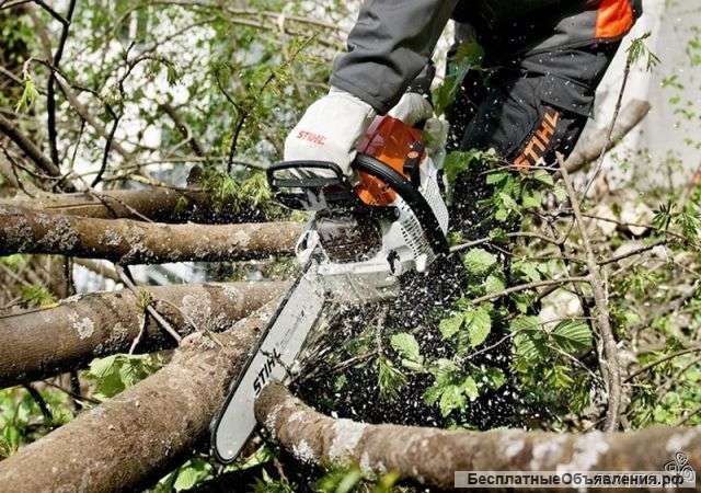 Расчистка участка в Тюмени