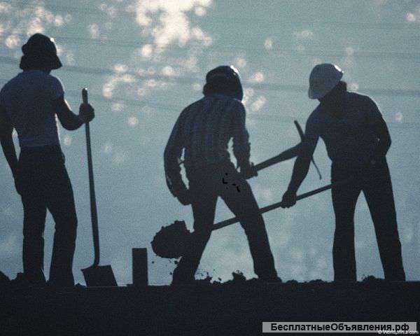 Разнорабочие Р.Ф.