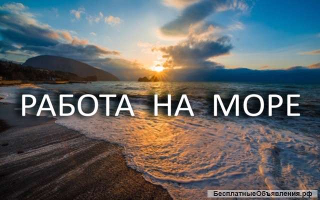 Требуются администраторы в отель
