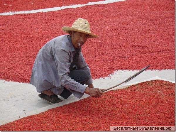 Ягоды Годжи в разнавес. Недорого.