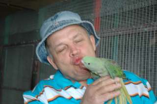 Александрийские попугаи