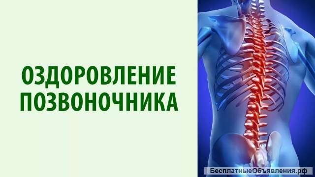 Оздоровление позвоночника
