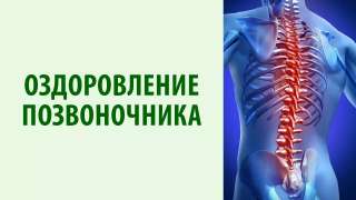 Оздоровление позвоночника