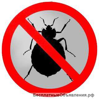 Выведение клопов, насекомых в вашем доме
