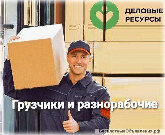 Грузчик/разнорабочий