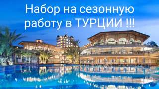 Работа в Турции. Официанты